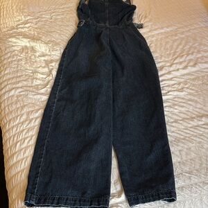 We The Free Indigo Denim Overalls